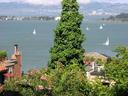 View down to the Bay from Telegraph Hill.